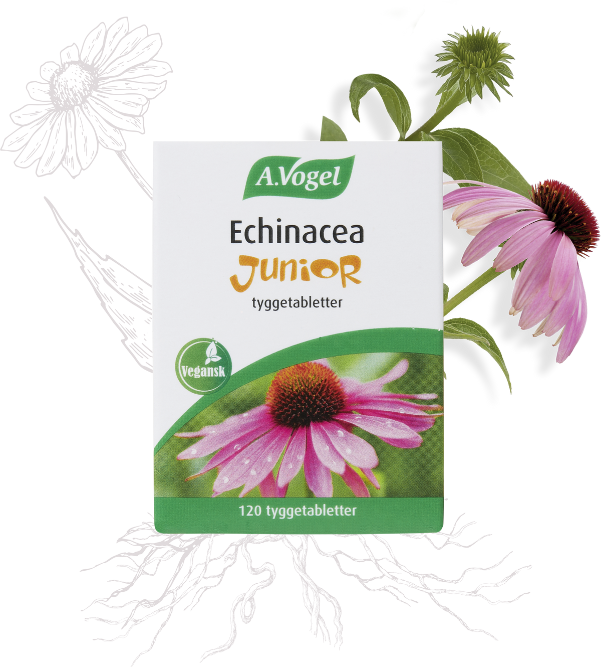 A. Vogel Echinacea Junior, kosttilskud med 120 tabletter