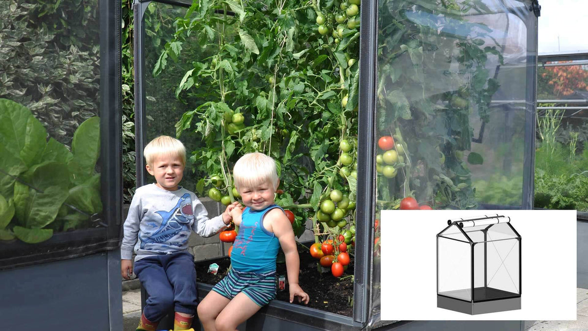 Høj GrowCamp drivhus på 1,4 m2 i PVC