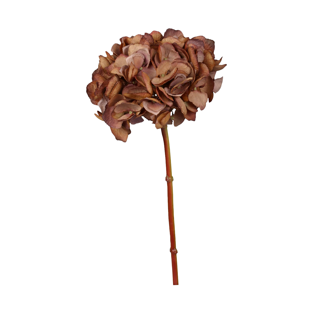 Se Chic Antique FLEUR Hortensia ❤ Kæmpe udvalg i Chic Antique - Køb online på udsalg og tilbud lige nu ❤ Meget billig fragt og hurtig levering - Varenummer: HomeFeeling-763 - Udsalg på Interiør - Alt til udelivet - Kunstige blomster - Alt interiør - Gaveidé til hende Spar stort – op til 53% - Over 2.739 kendte brands på stort udsalg