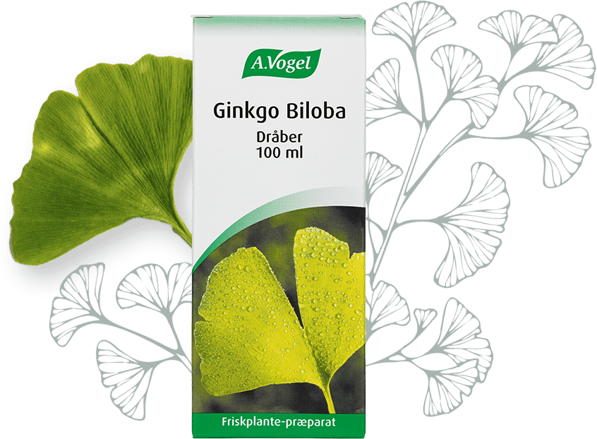 Pakning med A. Vogel Ginkgo Biloba kosttilskud, 100 ml