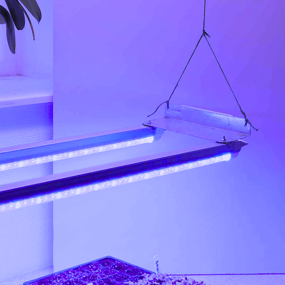 GrowCamp dobbelt LED vækstlys på 120 cm til indendørs forkultivering