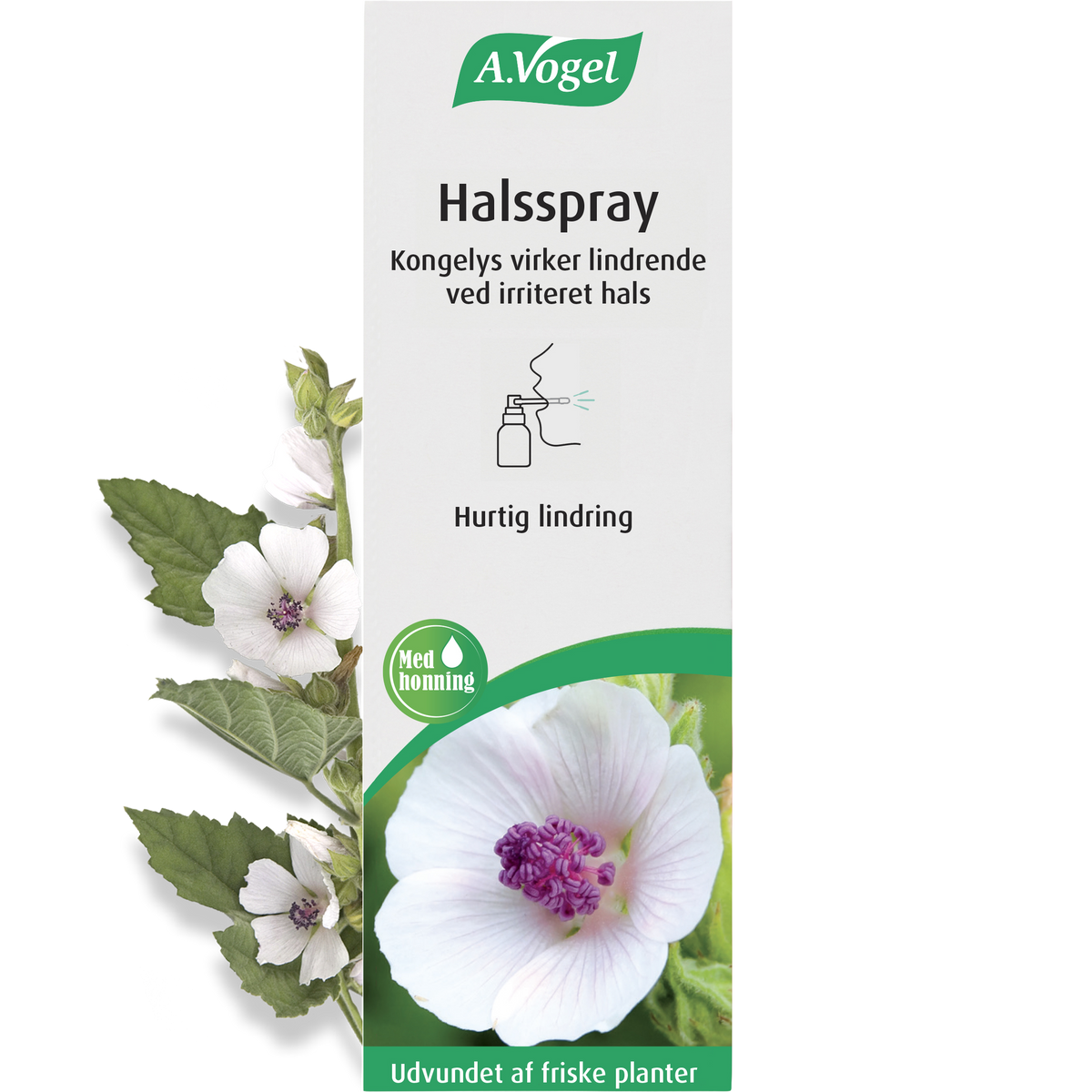 Pakning med A. Vogel Halsspray, 30 ml