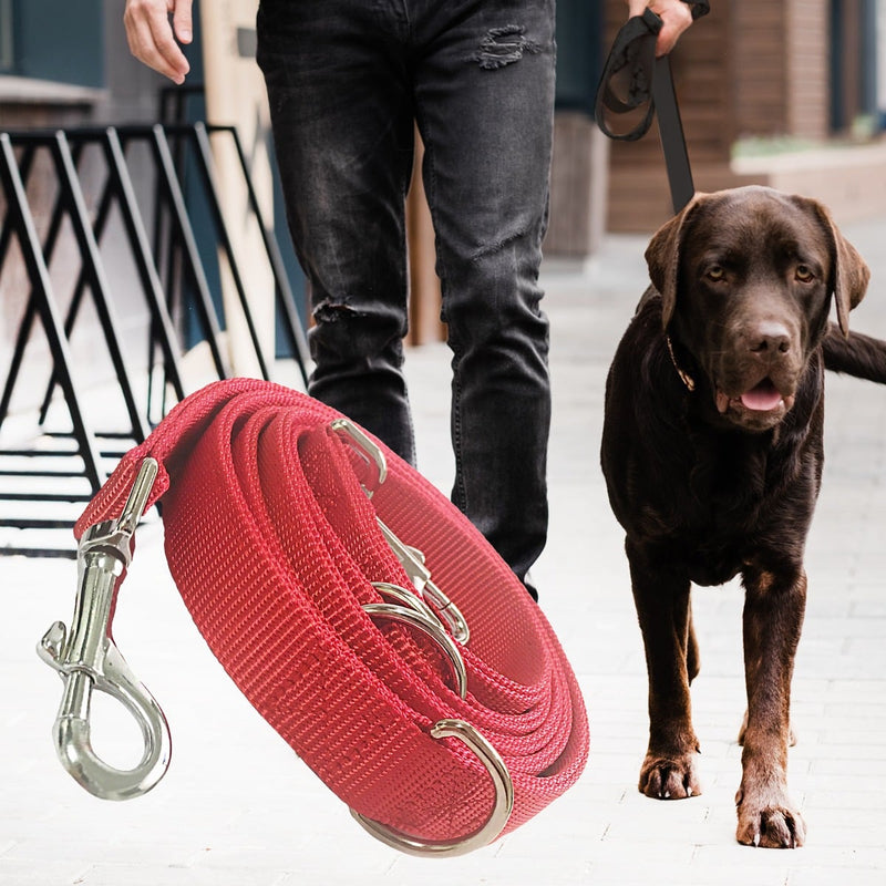 Hundesnor i Nylon - 2 meter lang - 2,5 cm bred