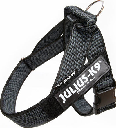 Se Julius-K9 - C&G IDC Bæltesele, sort, 6 størrelser - Mini-Mini: 40-53 cm ✔ Kæmpe udvalg i  Julius-K9 - Køb online på udsalg og tilbud lige nu ✔ Hurtig levering: 1 - 2 Hverdage samt billig fragt - Varenummer: BGH-50039822221642 og barcode / Ean: 5999053659684 på lager - Udsalg på Best selling products Spar op til 66% - Over 1354 kendte brands på udsalg