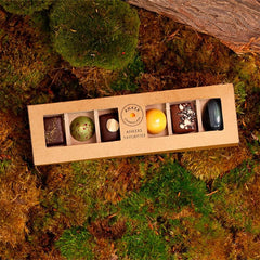 Gaveæske med 6 stykker dessertchokolade, Ankers Favoritter fra Anker Chokolade
