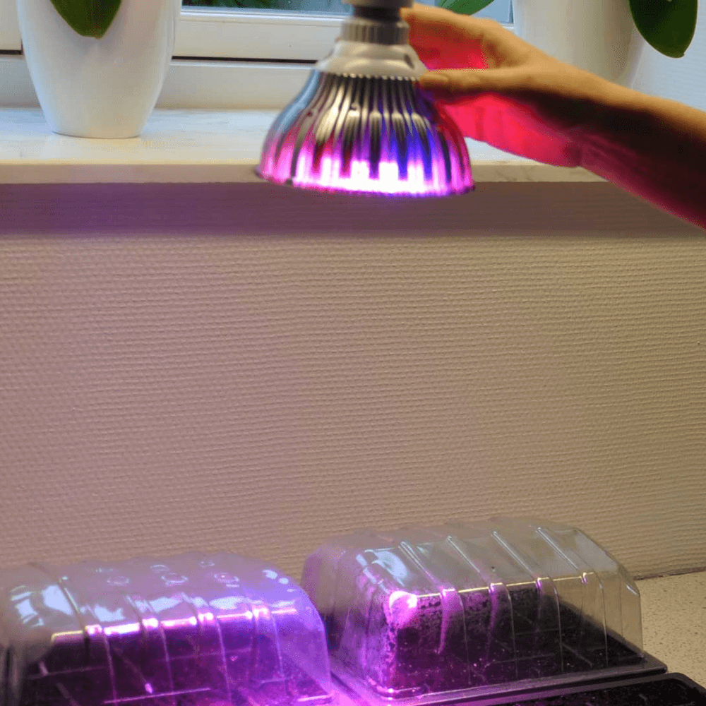 GrowCamp LED vækstlampe 12W med E27-gevind og røde, blå og hvide dioder