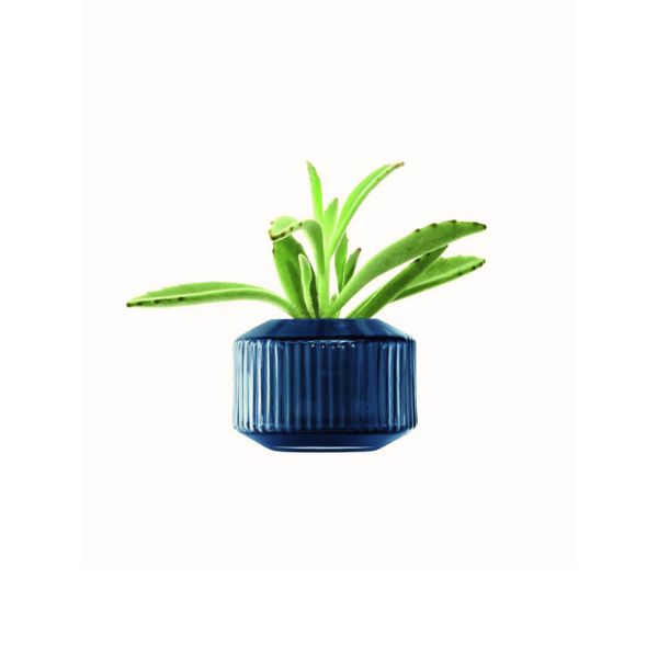 Se Lyseholder/vase Rotunda Safir Lsa 7,2x10x10cm ✔ Kæmpe udvalg i LSA International - Køb online på udsalg og tilbud lige nu ✔ Hurtig levering til lave fragtpriser - Varenummer: Barlife-689017 og 5012548575723 på lager - Udsalg på Køkken - Borddækning - Vaser Store besparelser – op til 77% - Udsalg på mere end 2.281 populære mærker