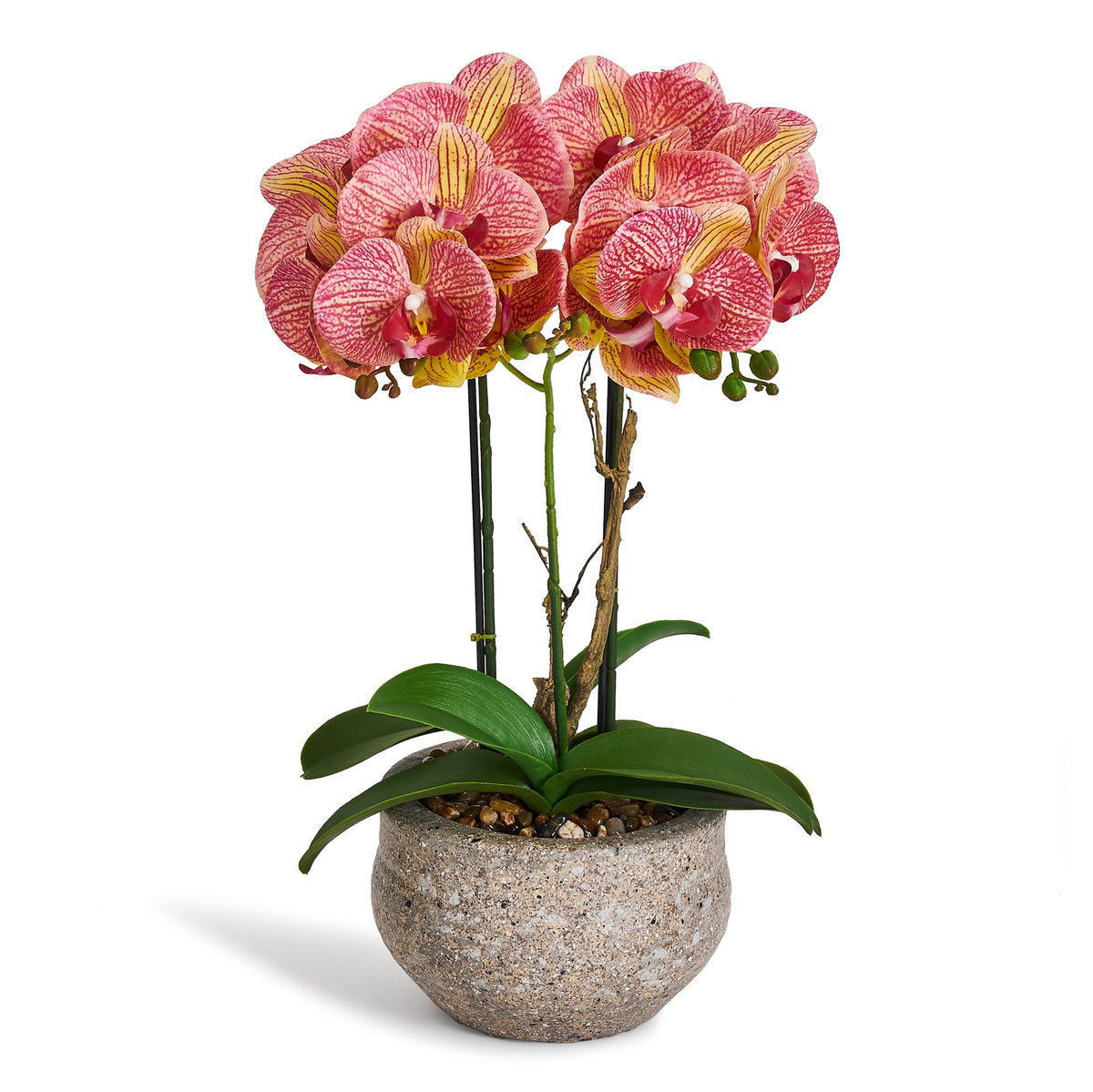 Se Kunstig Orkidé Gul/Rød H42 cm - Naturtro med Betonpotte Ø25 cm ❤ Kæmpe udvalg i 4EverGreen - Køb online på udsalg og tilbud lige nu ❤ Billig fragt og hurtig levering - Varenummer: Bolig&Haven-61623877534026 og barcode / Ean: 5744000690155 på lager - Udsalg på Spar helt op til 79% - Over 739 kendte brands på udsalg