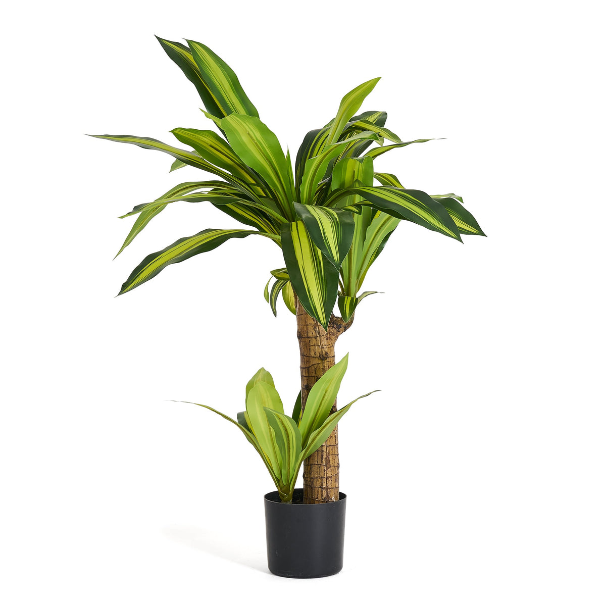 Se Happy plante - Kunstig, H: 75 cm ❤ Kæmpe udvalg i 4EverGreen - Køb online på udsalg og tilbud lige nu ❤ Meget billig fragt og hurtig levering - Varenummer: Bolig&Haven-49693938319690 og barcode / Ean: 5744000690018 på lager - Udsalg på Store besparelser – op til 67% - Shop over 2.281 kendte brands på udsalg
