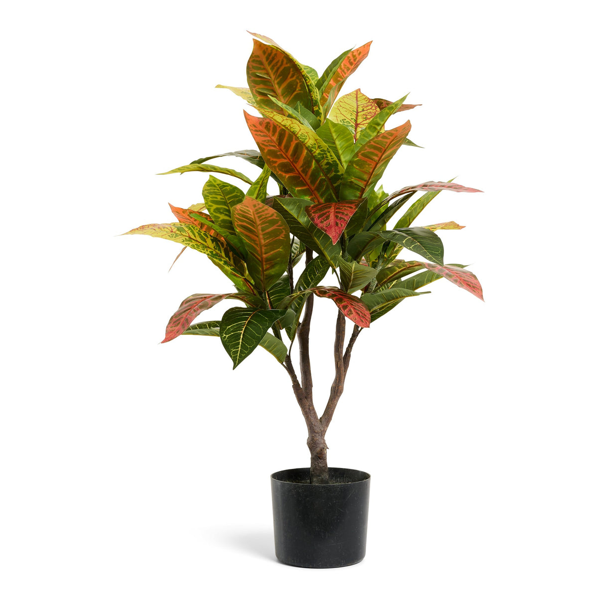 Se Kroton plante - Kunstig, H:75 cm ❤ Kæmpe udvalg i 4EverGreen - Køb online på udsalg og tilbud lige nu ❤ Hurtig levering til lave fragtpriser - Varenummer: Bolig&Haven-49693938549066 og barcode / Ean: 5744000690858 på lager - Udsalg på Få op til 67% i rabat - Find over 1.798 brands på udsalg