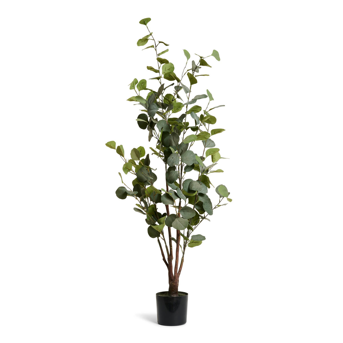Se Eucalyptustræ - Kunstig, H:120 cm ❤ Kæmpe udvalg i 4EverGreen - Køb online på udsalg og tilbud lige nu ❤ Billig fragt og hurtig levering - Varenummer: Bolig&Haven-49693938614602 og barcode / Ean: 5744000690834 på lager - Udsalg på Få op til 69% i rabat - Shop udsalg fra mere end 1.798 mærker
