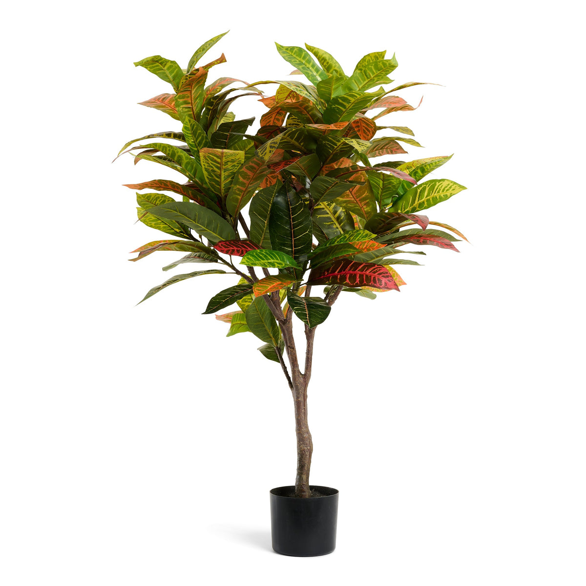 Se Krotonplante - Kunstig, H:120 cm ❤ Kæmpe udvalg i 4EverGreen - Køb online på udsalg og tilbud lige nu ❤ Lav fragtpris og hurtig levering - Varenummer: Bolig&Haven-49693938581834 og barcode / Ean: 5744000690865 på lager - Udsalg på Op til 63% rabat - Kendte mærker på udsalg – over 1.329 brands