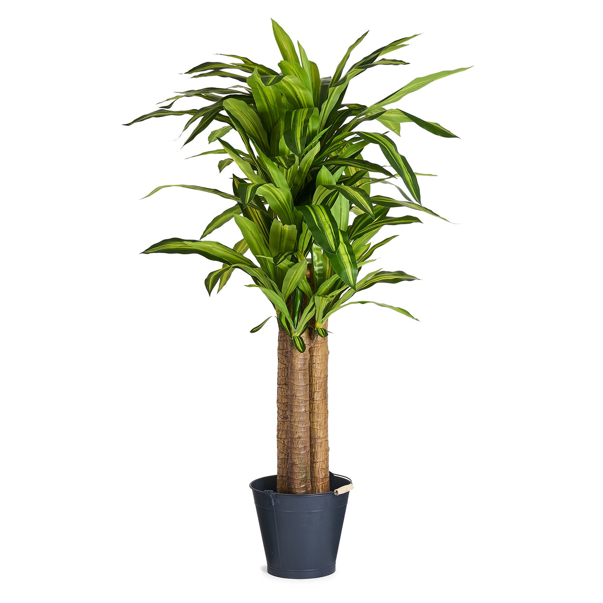Se Happy plante - Kunstig, H:150 cm ❤ Kæmpe udvalg i 4EverGreen - Køb online på udsalg og tilbud lige nu ❤ Billig fragt og hurtig levering - Varenummer: Bolig&Haven-49693938352458 og barcode / Ean: 5744000690025 på lager - Udsalg på Spar stort – op til 71% - Over 2.739 brands med kæmpe udsalg