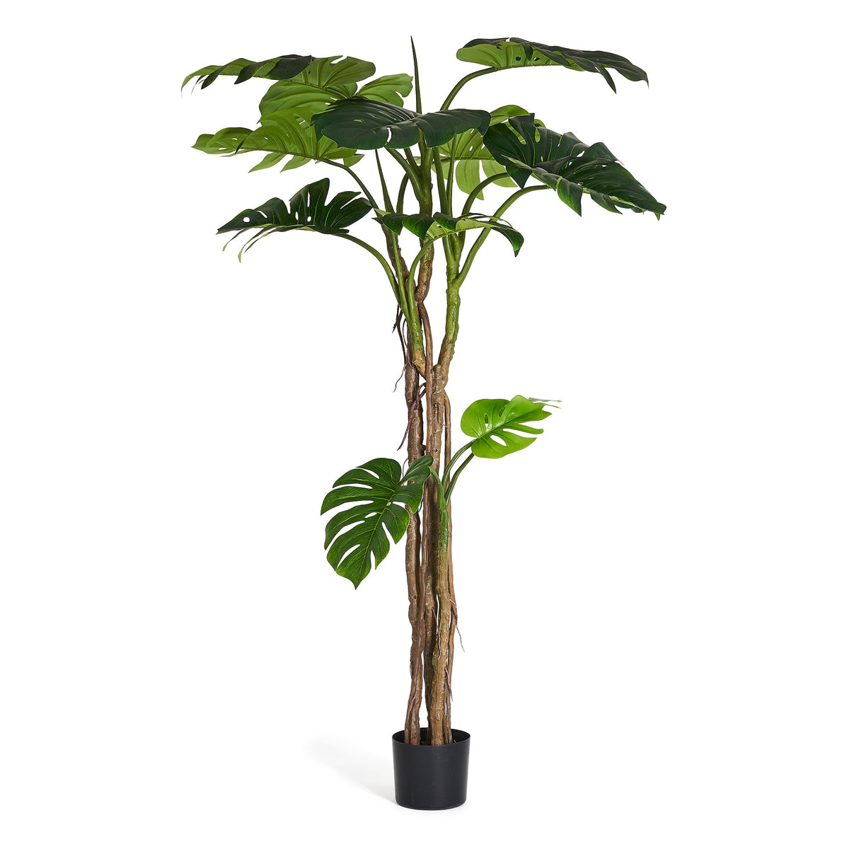 Se Monstera - Kunstig plante, H:180 cm ❤ Kæmpe udvalg i 4EverGreen - Køb online på udsalg og tilbud lige nu ❤ Billig fragt • Hurtig levering - Varenummer: Bolig&Haven-49693938450762 og barcode / Ean: 5744000690049 på lager - Udsalg på Store besparelser – op til 71% - Udsalg på mere end 2.281 populære mærker