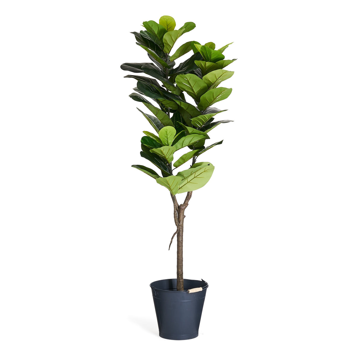 Se Figenblads træ - Kunstig, H:152 cm ❤ Kæmpe udvalg i 4EverGreen - Køb online på udsalg og tilbud lige nu ❤ Hurtig levering til lave fragtpriser - Varenummer: Bolig&Haven-49693938516298 og barcode / Ean: 5744000690063 på lager - Udsalg på Op til 57% rabat - Mere end 1.329 populære mærker på udsalg