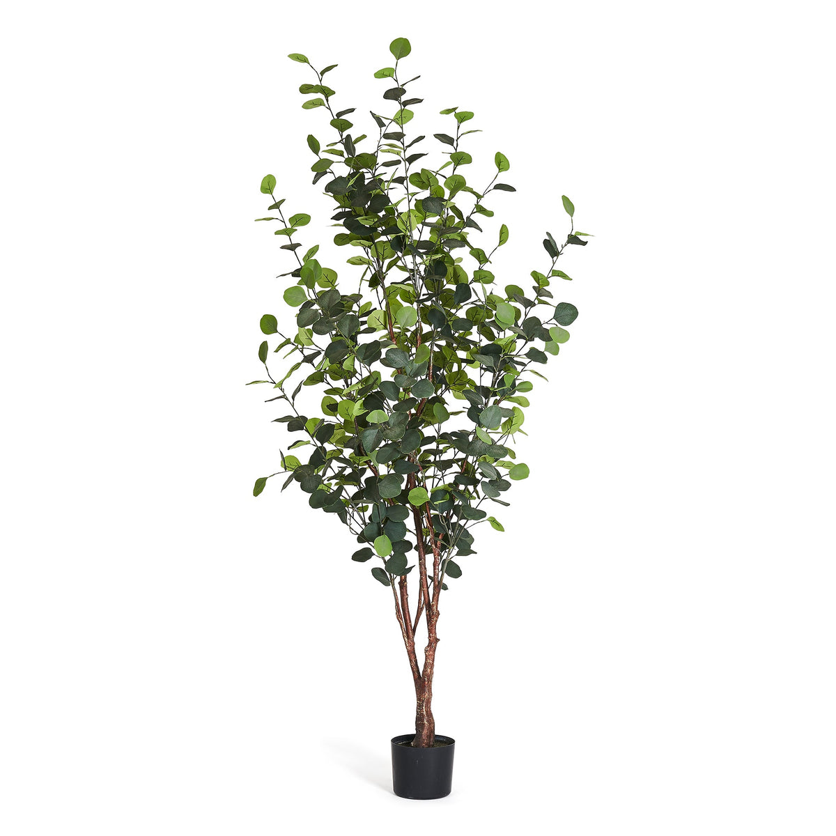Se Eucalyptustræ - Kunstig, H:180 cm ❤ Kæmpe udvalg i 4EverGreen - Køb online på udsalg og tilbud lige nu ❤ Super billig fragt og lynhurtig levering - Varenummer: Bolig&Haven-49693938680138 og barcode / Ean: 5744000690087 på lager - Udsalg på Spar stort – op til 53% - Eksklusivt udsalg på over 2.739 brands
