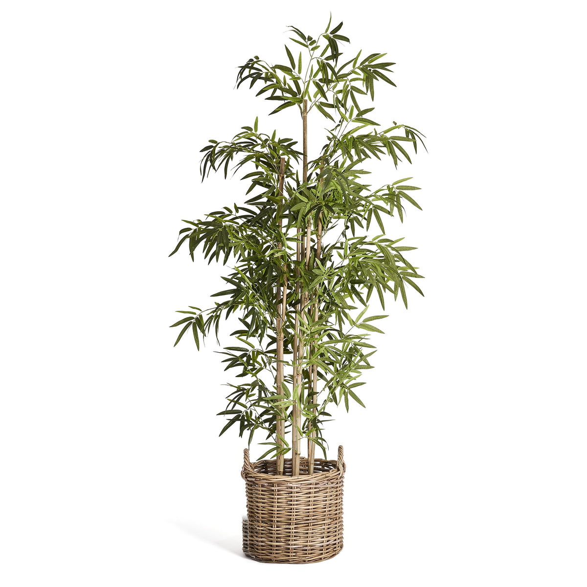 Se Bambus plante - Kunstig, H:190 cm ❤ Kæmpe udvalg i 4EverGreen - Køb online på udsalg og tilbud lige nu ❤ Meget billig fragt og hurtig levering - Varenummer: Bolig&Haven-49693938811210 og barcode / Ean: 5744000690124 på lager - Udsalg på Op til 61% rabat - Over 1.329 brands på online udsalg