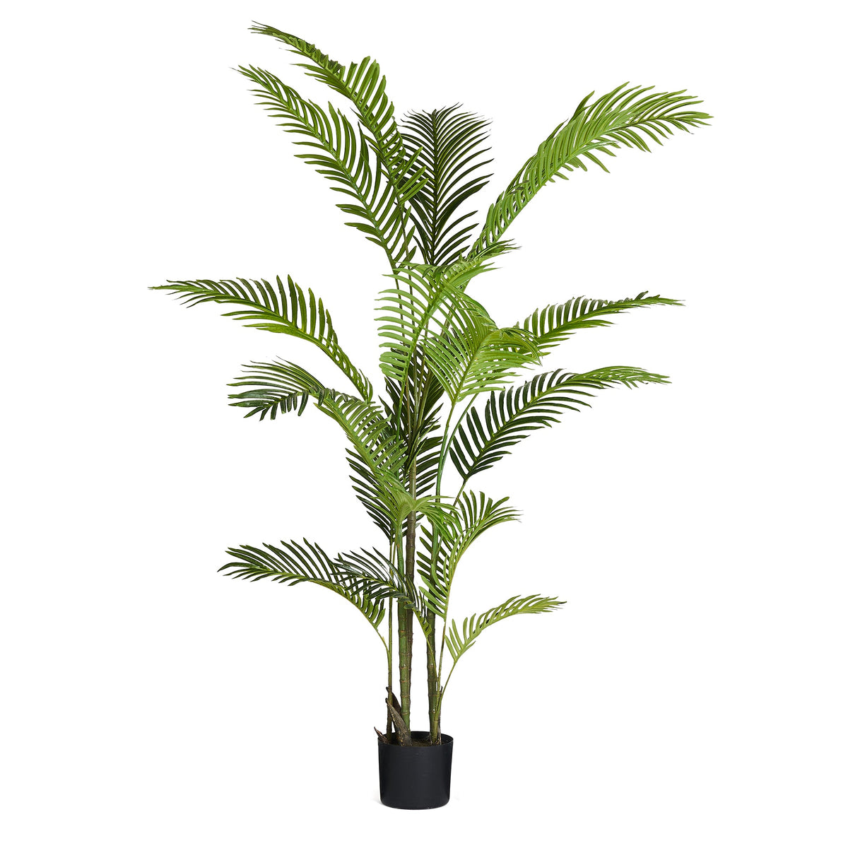 Se Palmetræ - Kunstig, H:150 cm ❤ Kæmpe udvalg i 4EverGreen - Køb online på udsalg og tilbud lige nu ❤ Meget billig fragt og hurtig levering - Varenummer: Bolig&Haven-49693938745674 og barcode / Ean: 5744000690100 på lager - Udsalg på Spar stort – op til 59% - Over 2.739 kendte brands på stort udsalg