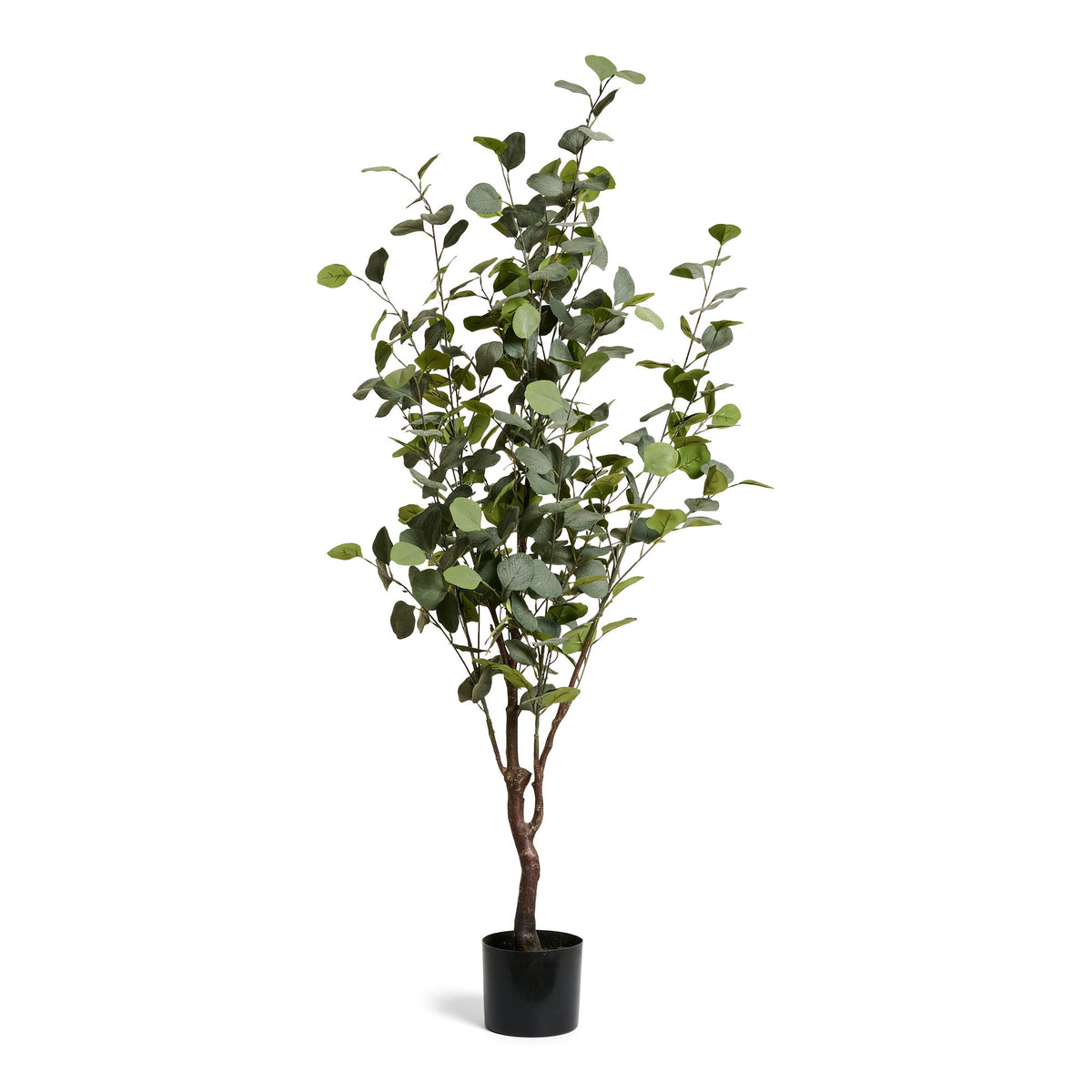 Se Eucalyptustræ - Kunstig, H:150 cm ❤ Kæmpe udvalg i 4EverGreen - Køb online på udsalg og tilbud lige nu ❤ Billig fragt og hurtig levering - Varenummer: Bolig&Haven-49693938647370 og barcode / Ean: 5744000690841 på lager - Udsalg på Store besparelser – op til 77% - Store besparelser på over 2.281 brands
