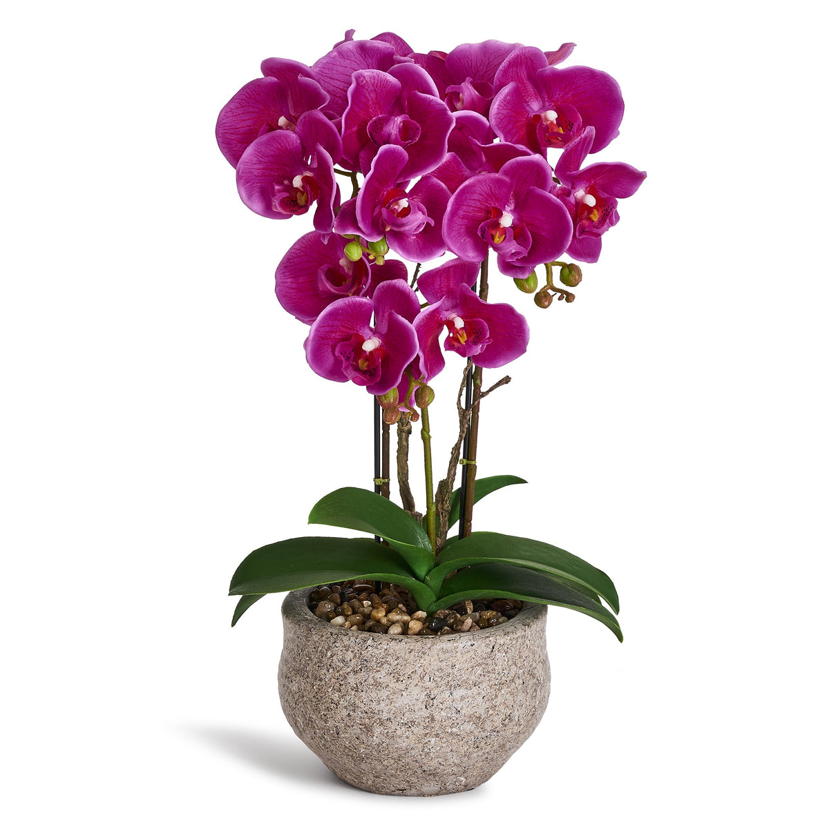 Se Kunstig Orkidé Mørk Lilla H42 cm - Naturtro med Betonpotte Ø25 cm ❤ Kæmpe udvalg i 4EverGreen - Køb online på udsalg og tilbud lige nu ❤ Billig fragt • Hurtig levering - Varenummer: Bolig&Haven-61623706059082 og barcode / Ean: 5744000690148 på lager - Udsalg på Store besparelser – op til 77% - Spar stort på mere end 2.739 brands