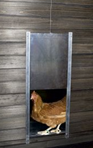 Se billige hønselemstilbud på AGRINI! Spar op til 55% på Chicksafe Alu hønselems. Hurtig levering (1-2 hverdage) og billig fragt. Varenummer: AGRI-6853759336598_40076503482518.