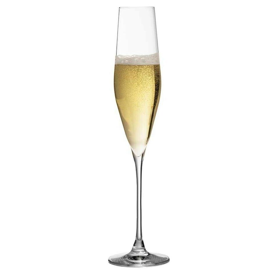 Bacci champagne flute i blyfri krystal fra Urban Bar, 19 cl