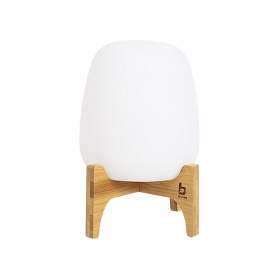 Se billigt tilbud på Udendørs Lampe - Barnes model. Stort udvalg på AGRINI. Køb online nu! Hurtig levering, billig fragt. Spar op til 66% på lamper.