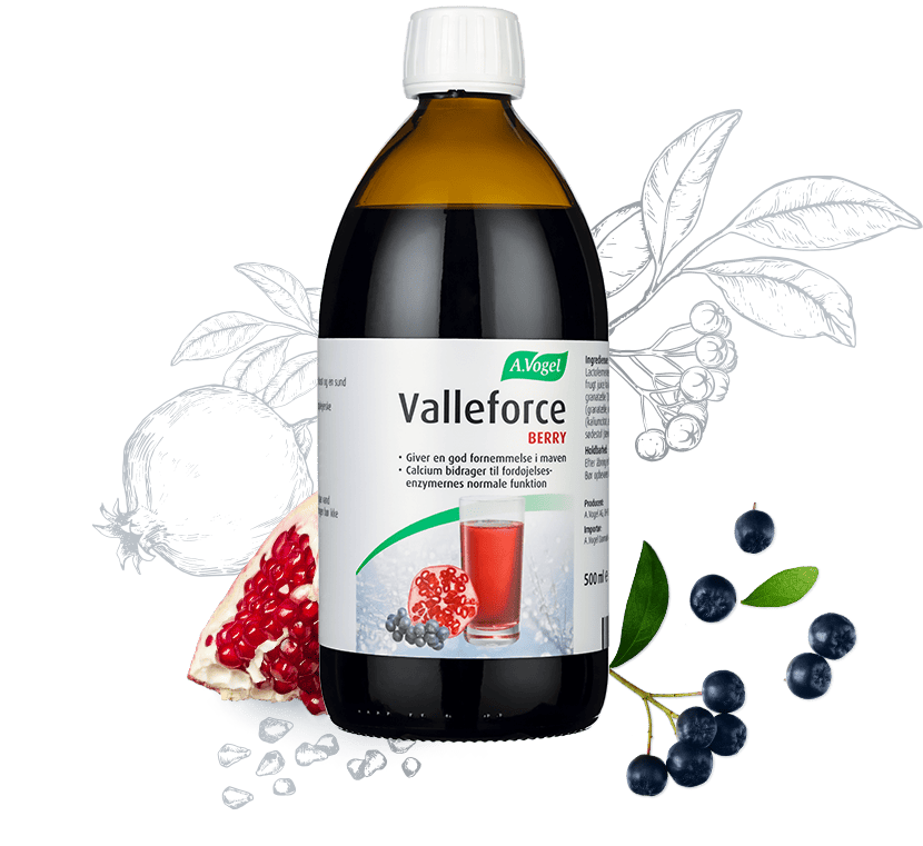 Valleforce Berry kosttilskud i 500 ml fra A. Vogel