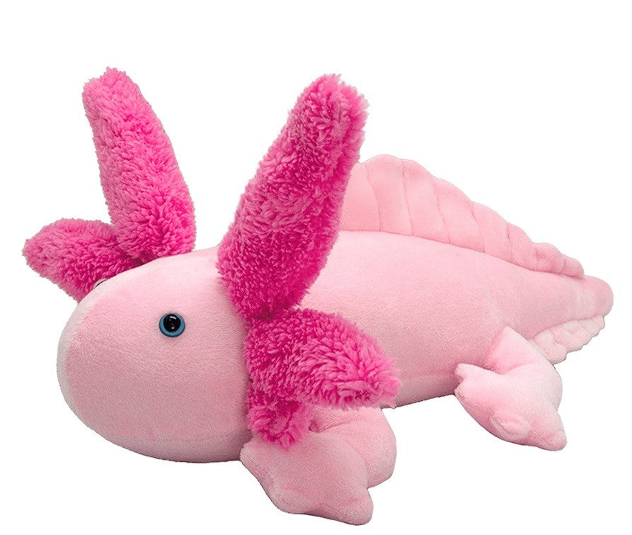 Se Axolotl Tøjdyr 36x16 cm - All About Nature ✔ Kæmpe udvalg i All About Nature - Køb online på udsalg og tilbud lige nu ✔ Meget billig fragt og hurtig levering - Varenummer: MMAction-224020 og 5600991984256 på lager - Udsalg på Bamser og plysdyr Store besparelser – op til 67% - Store besparelser på over 2.281 mærker