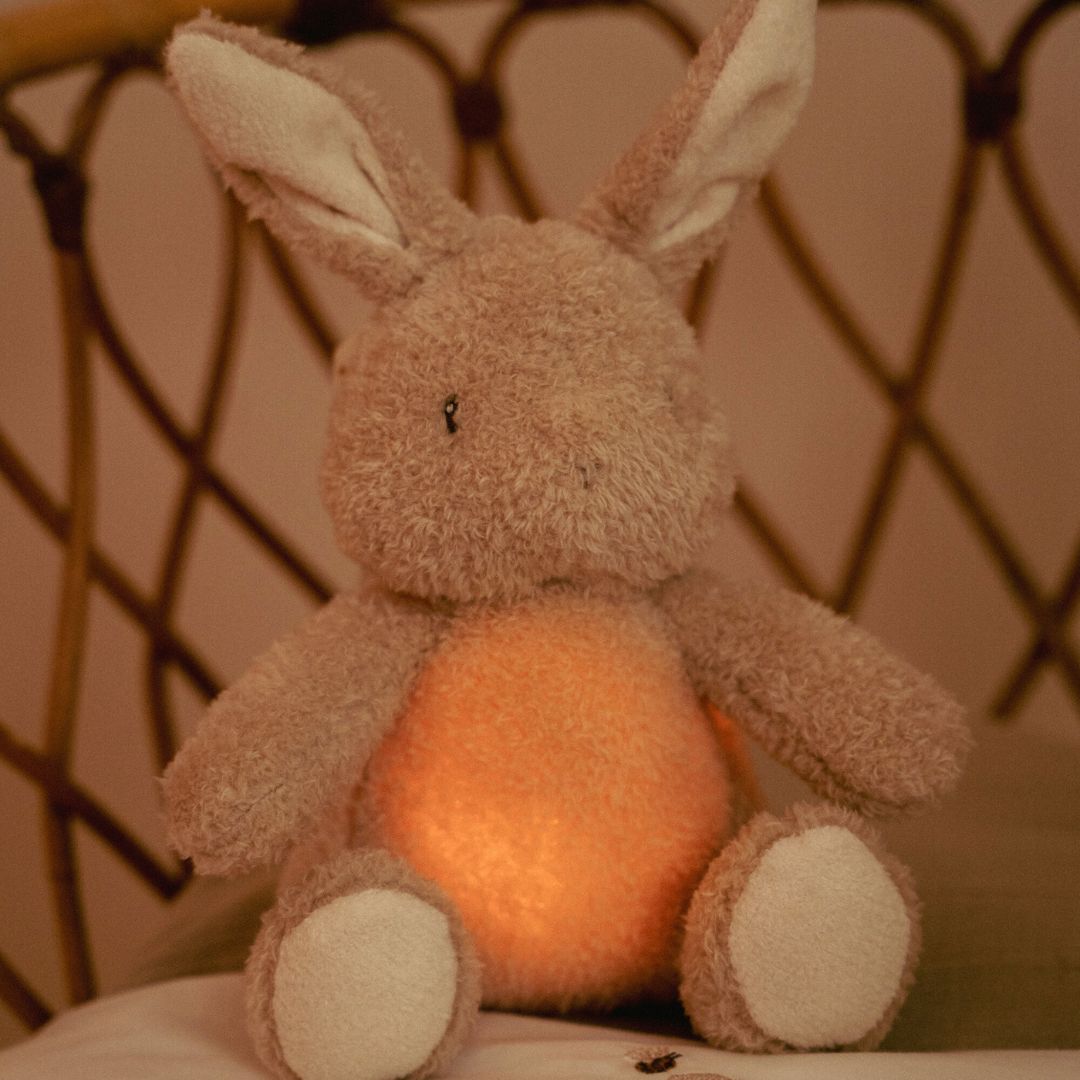 Little Dutch kaninbamse med natlys og lyde i maven, blød at kramme