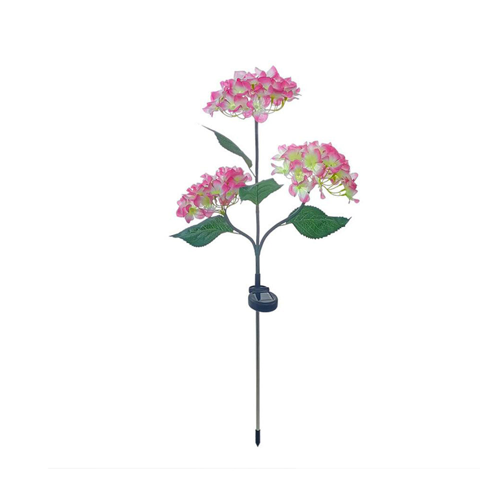 Se Solcelle-hortensia havelamper - Pink ✔ Kæmpe udvalg i Satana - Køb online på udsalg og tilbud lige nu ✔ Meget billig fragt og hurtig levering - Varenummer: Satana-1591361 på lager - Udsalg på Sundhed > Kosttilskud til børn > Novasel EU Aps Spar helt op til 57% - Stort udsalg på over 739 brands