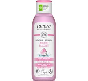 Se LAVERA Body Wash Indulgent 250 ml ✔ Kæmpe udvalg i Lavera - Køb online på udsalg og tilbud lige nu ✔ Billig fragt • Hurtig levering - Varenummer: Helsegrossisten-51743 og 4021457648542 på lager - Udsalg på Personlig pleje > Bodyshampoo > Lavera Spar stort – op til 59% - Eksklusivt udsalg på over 2.739 mærker