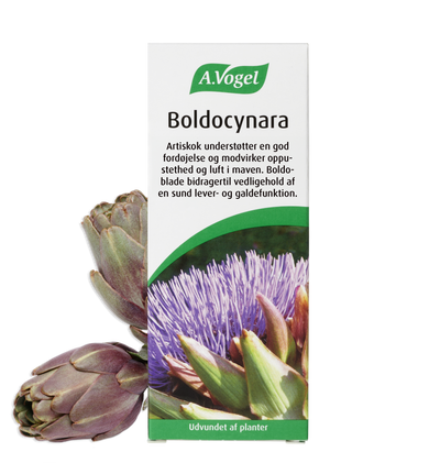 Boldocynara Dråber 50 ml.