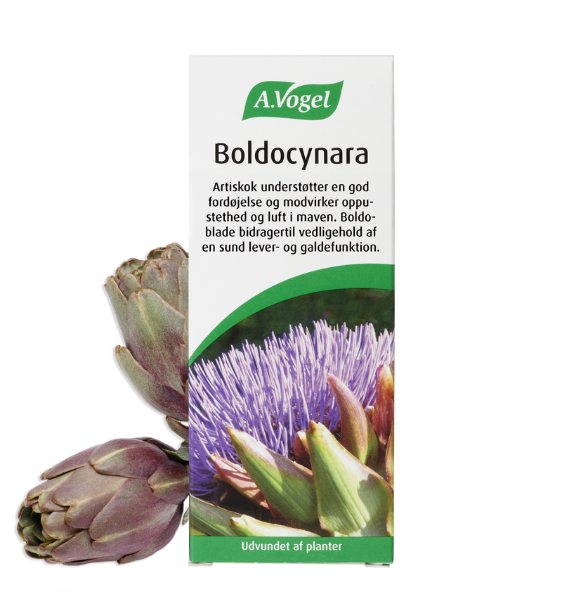 Boldocynara Dråber 50 ml.