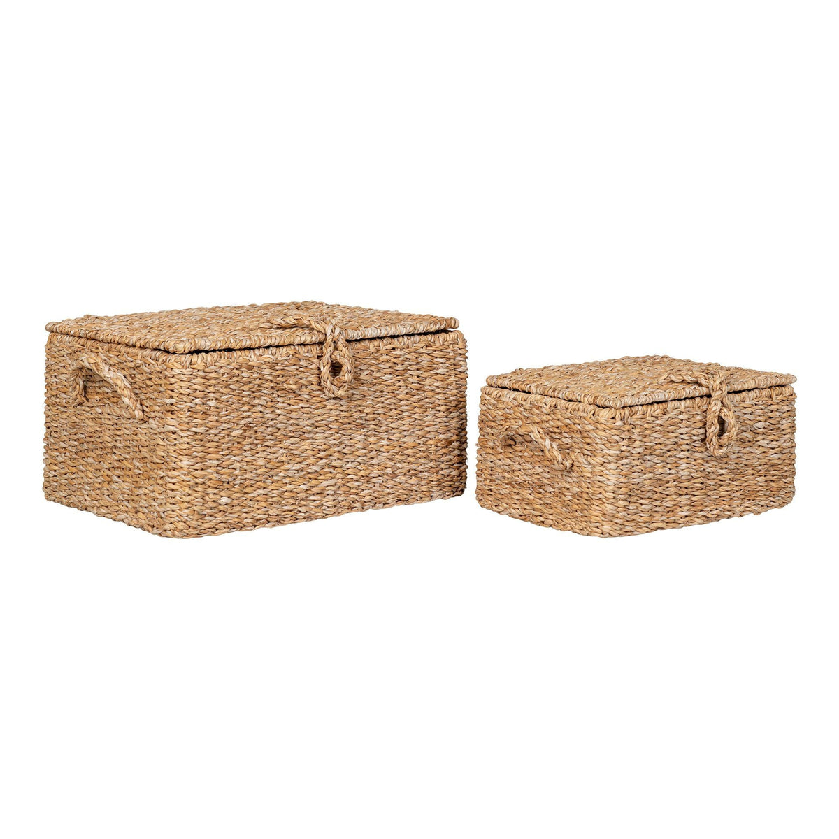 Se House Nordic - Bogra Kurv, sæt af 2 stk. ❤ Kæmpe udvalg i House Nordic - Køb online på udsalg og tilbud lige nu ❤ Super billig fragt og lynhurtig levering - Varenummer: Bolig&Haven-47670939386186 og barcode / Ean: 5713917029327 på lager - Udsalg på Spar stort – op til 59% - Kæmpe udsalg på over 2.739 brands
