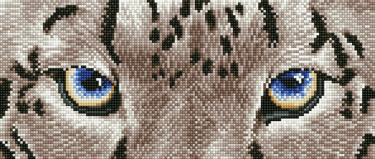 Se Diamond Dotz 42 x 18 cm - Leopard Spy ✔ Kæmpe udvalg i Diamond Dotz - Køb online på udsalg og tilbud lige nu ✔ Hurtig levering til lave fragtpriser - Varenummer: MMAction-212070 og 4895225915330 på lager - Udsalg på Diamond Dotz Original Spar helt op til 57% - Stort udsalg på over 739 mærker