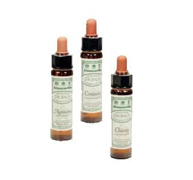 Se Dr. Bach Ægte kastanie &  10ml X ✔ Kæmpe udvalg i  Bach - Køb online på udsalg og tilbud lige nu ✔ Hurtig levering: 1 - 2 Hverdage samt billig fragt - Varenummer: HG-17057 og barcode / Ean: 5032587000741 på lager - Udsalg på Sundhed > Mezina > DATOVARE & OUTLET Spar op til 54% - Over 1354 design mærker på udsalg