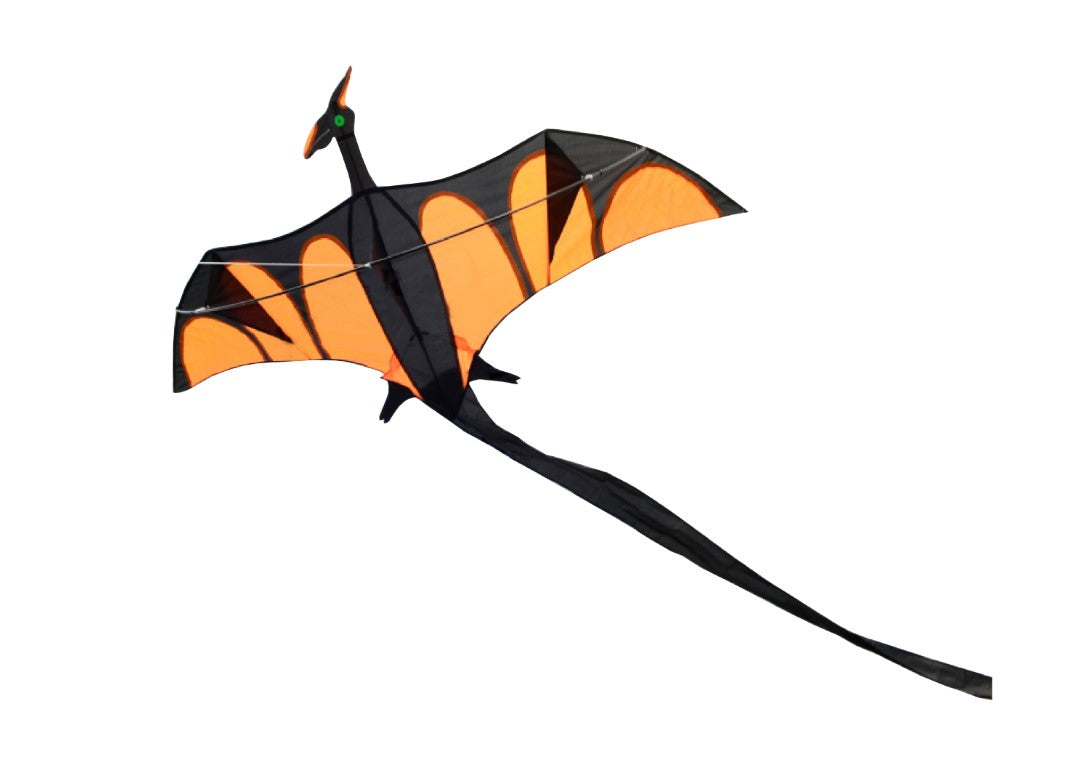 Se Dragon XL drage til børn fra 6 år, 170 x 90 cm ✔ Kæmpe udvalg i Airow - Køb online på udsalg og tilbud lige nu ✔ Billig fragt og hurtig levering - Varenummer: MMAction-223008 og 7426845034902 på lager - Udsalg på Drager til børn Store besparelser – op til 77% - Store besparelser på over 2.281 mærker