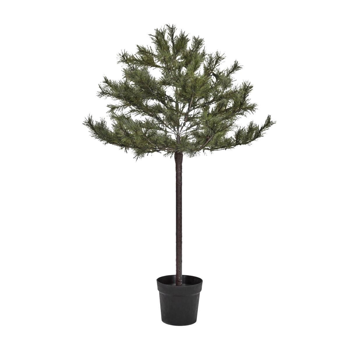 Se House Doctor - Juletræ med LED, Peuce, Natur, H150 cm ❤ Kæmpe udvalg i House Doctor - Køb online på udsalg og tilbud lige nu ❤ Hurtig levering til lave fragtpriser - Varenummer: Bolig&Haven-49411363176778 og barcode / Ean: 5707644875876 på lager - Udsalg på Op til 57% rabat - Find tilbud fra over 2.739 mærker