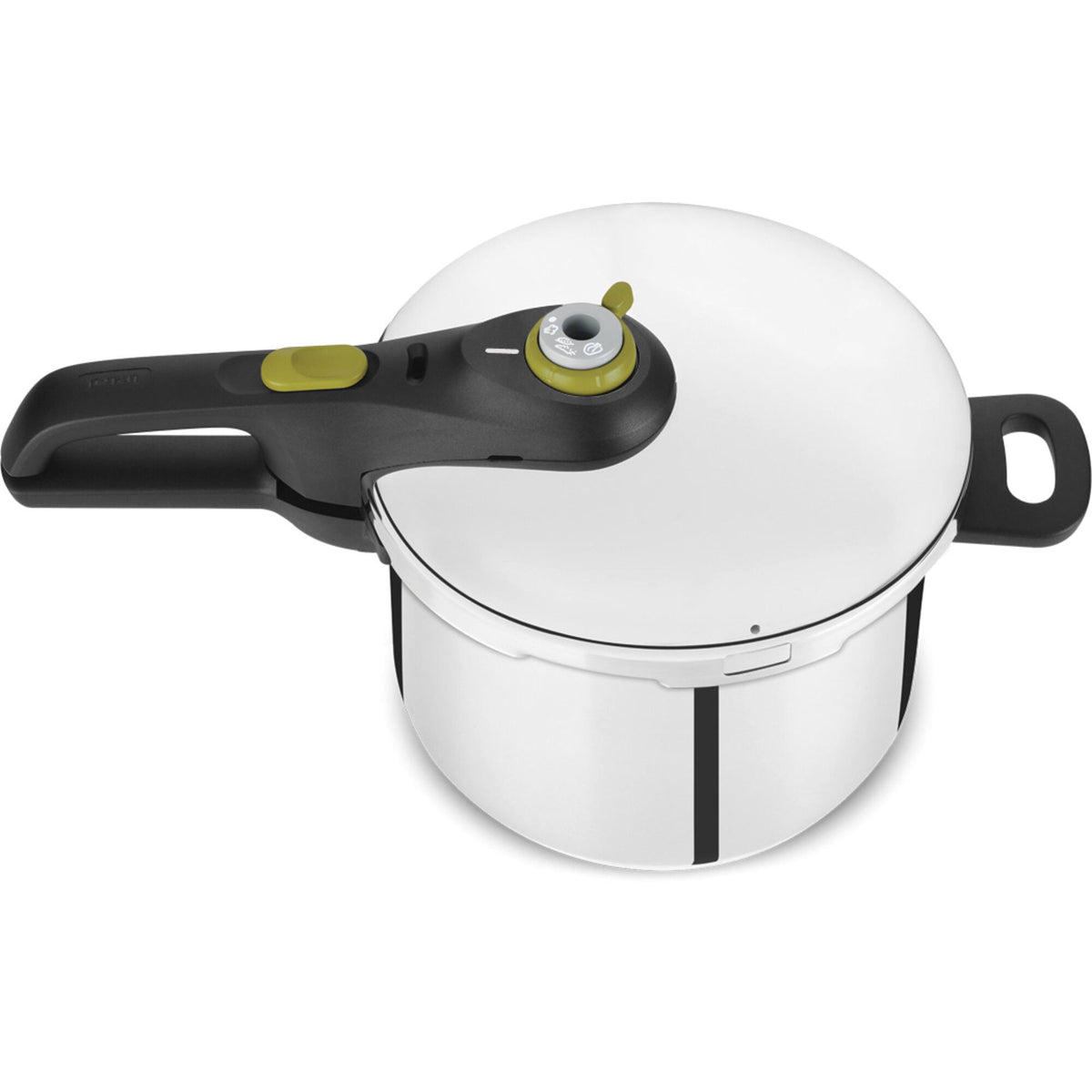 Tefal Secure 5 Neo trykkoger på 6 liter med dampkurv