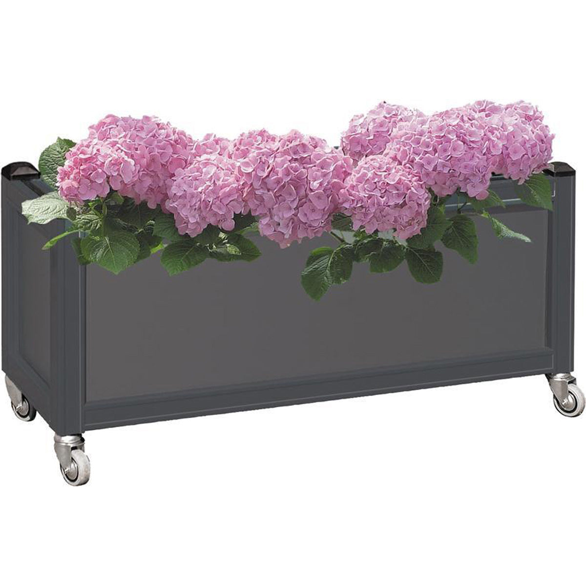 Se Blomsterkasse m hjul afskærmmning - Grå ❤ Kæmpe udvalg i Zederkof - Køb online på udsalg og tilbud lige nu ❤ Hurtig levering til lave fragtpriser - Varenummer: Zederkof-77536 - Udsalg på Udendørs - Cafeafskærmning - Afskærmning komplet Få op til 67% i rabat - Over 2.739 brands på stort udsalg