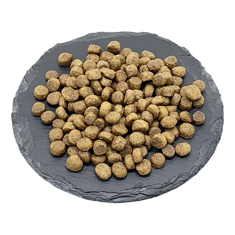 Foderprøve af ProBiotic LIVE Adult MINI hundefoder med kalkun