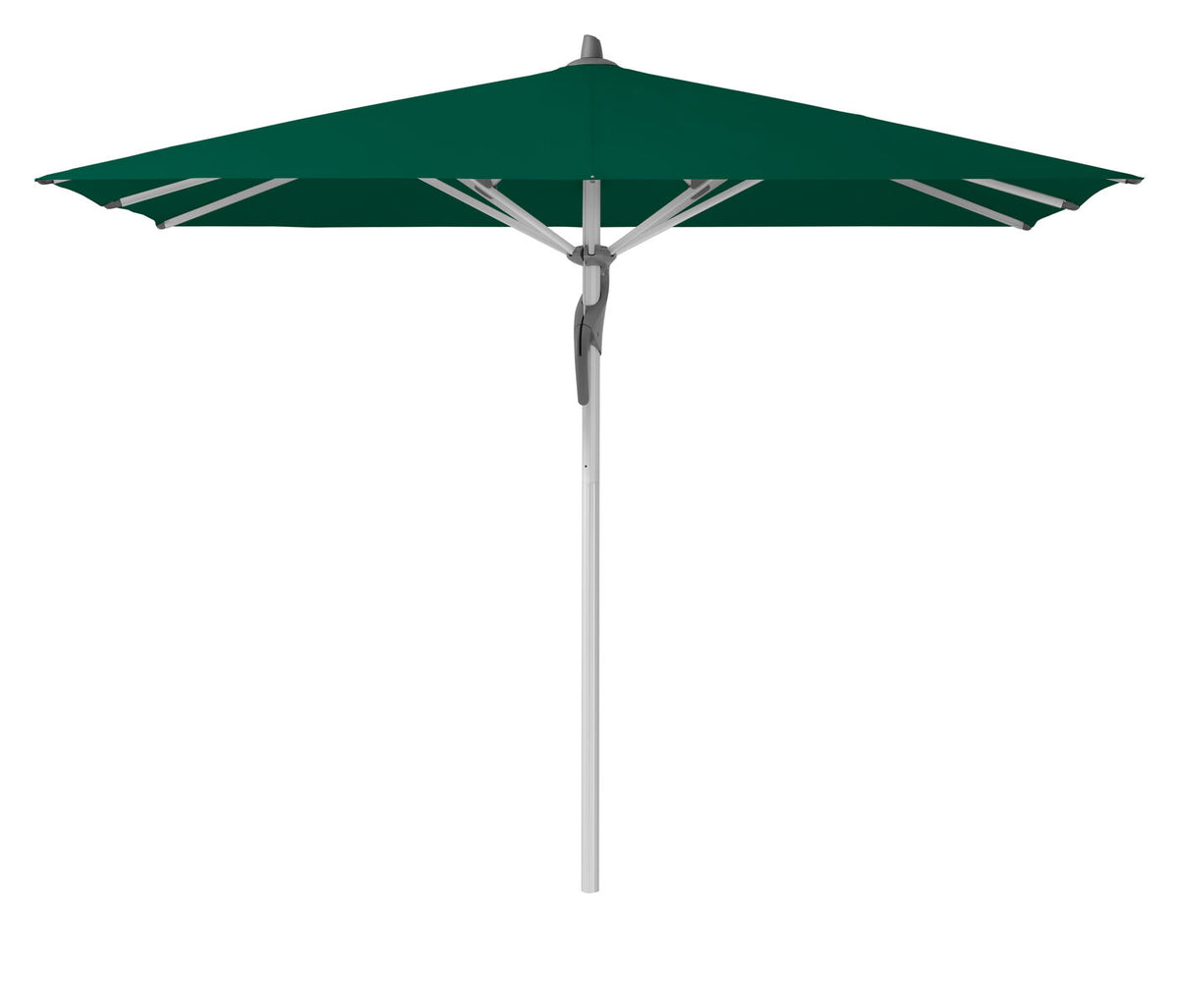 Se FORTERO Ø350 cm u/frisekant - Aloe ❤ Kæmpe udvalg i Zederkof - Køb online på udsalg og tilbud lige nu ❤ Lav fragtpris og hurtig levering - Varenummer: Zederkof-179984 - Udsalg på Udendørs - Café Parasoller - Glatz parasoller - Fortero Få op til 67% i rabat - Over 2.739 brands på stort udsalg