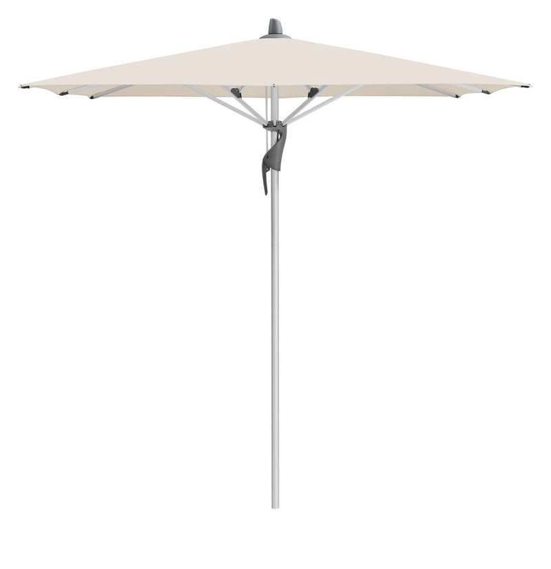 Fortino Riviera 240x240cm u/frisekant - Champagne