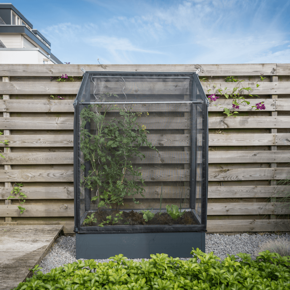 GrowCamp mini drivhus 0,7 m2 som højt vægbed i PVC