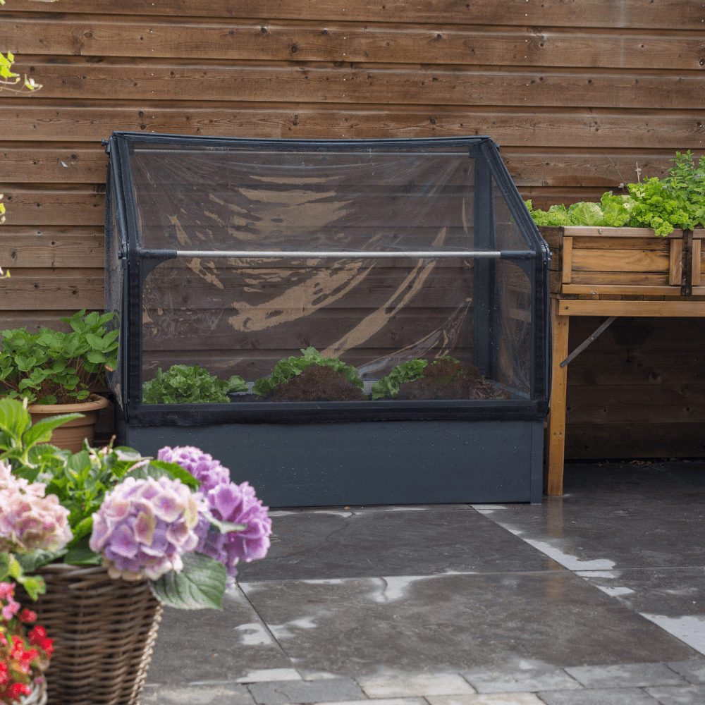 GrowCamp mini drivhus 0,7 m2 som lavt vægbed i PVC