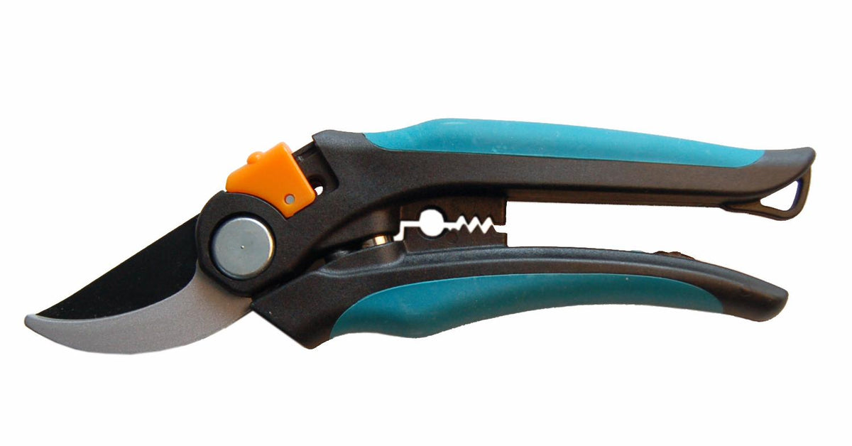Se Green-it - Beskæresaks med buet skær - 20cm ❤ Kæmpe udvalg i Green>it - Køb online på udsalg og tilbud lige nu ❤ Lav fragtpris og hurtig levering - Varenummer: Bolig&Haven-35785930145943 og barcode / Ean: 5708614911105 på lager - Udsalg på Op til 61% rabat - Mere end 2.739 populære mærker på tilbud