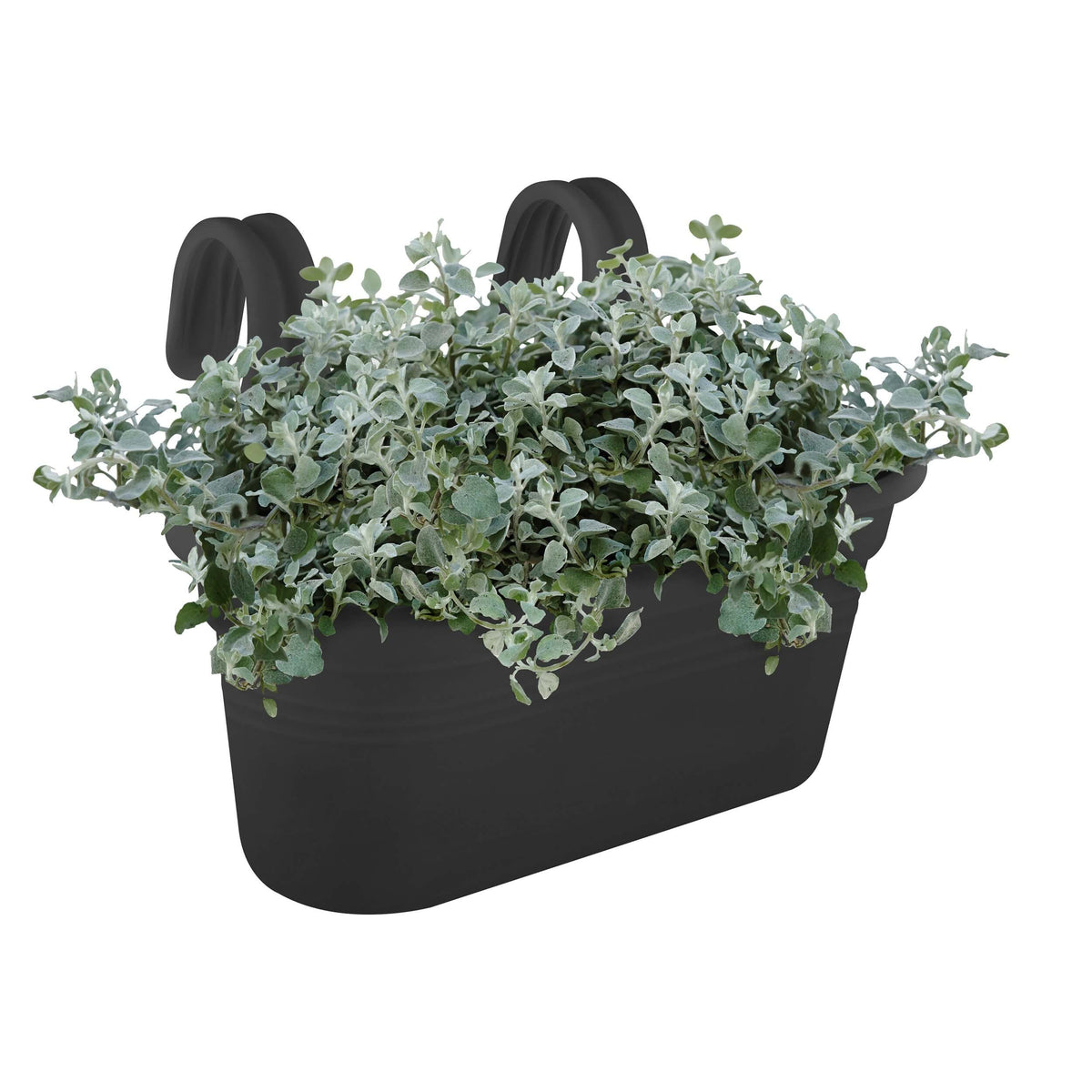 Se Elho - Green basics altanpotte 36,2 cm easy hanger stor - Living black ❤ Kæmpe udvalg i Elho - Køb online på udsalg og tilbud lige nu ❤ Super billig fragt og lynhurtig levering - Varenummer: Bolig&Haven-36065054523543 og barcode / Ean: 8711904252670 på lager - Udsalg på Få op til 69% i rabat - Over 1.798 brands samlet på udsalg