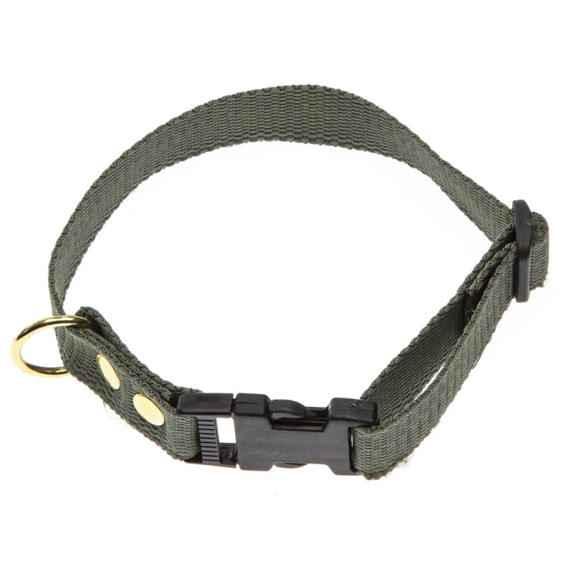 Grønt halsbånd i webbing fra BLF-Hunting, 20 mm bredt og 40 cm langt