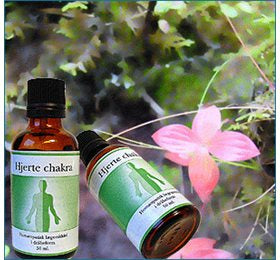 Se Holistica-Medica Hjerte chakra 50ml. ✔ Kæmpe udvalg i Holistica-Medica - Køb online på udsalg og tilbud lige nu ✔ Meget billig fragt og hurtig levering - Varenummer: Helsegrossisten-14695 og 5706059047007 på lager - Udsalg på Sundhed > Holistica-Medica > Spar stort – op til 59% - Over 2.739 mærker med kæmpe udsalg